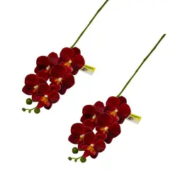 FLORIPA - Set de 2 Varas de Orquidea Artificial de 49cm BG410086-RJ FLORIPASTORE