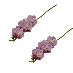 FLORIPA - Set de 2 Varas de Orquidea Artificial de 49cm BG410086-ROS FLORIPASTORE