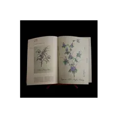 LIBROS DEL ZORRO ROJO - Herbaria plantas herbarios modernos y florilegios