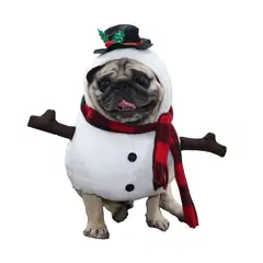 GIOIO - Disfraz para perro de Navidad- Muñeco de nieve - Snowman S