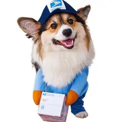 GIOIO - Disfraz para Mascota Halloween - Cartero Mail Man S