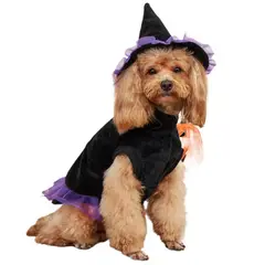 GIOIO - Disfraz para Perro de Bruja o Brujo Halloween L
