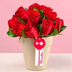 ROSATEL - Arreglo Matera con Rosas Rojas