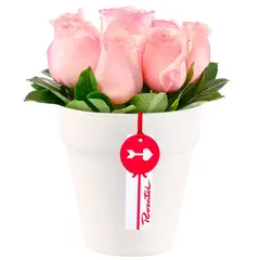 ROSATEL - Arreglo Rosas de Amor