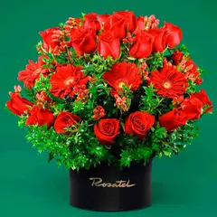 ROSATEL - Arreglo Trinidad