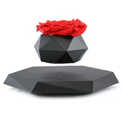 ROSATEL - Rosa Levitante