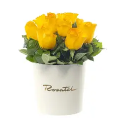 ROSATEL - Sombrerera Crema Mediana con 10 Rosas