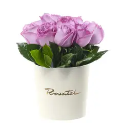 ROSATEL - Sombrerera Crema Mediana con 10 Rosas