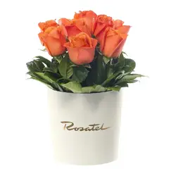 ROSATEL - Sombrerera Crema Mediana con 10 Rosas