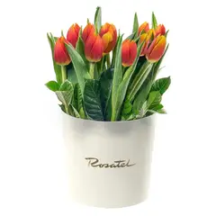 ROSATEL - Sombrerera Crema Mediana con 22 Tulipanes