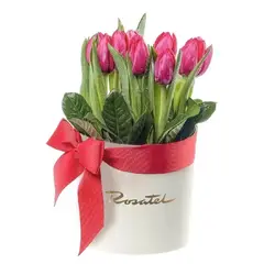 ROSATEL - Sombrerera Crema Mediana con Cinta Roja y 10 Tulipanes