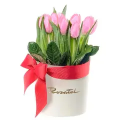 ROSATEL - Sombrerera Crema Mediana con Cinta Roja y 10 Tulipanes