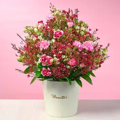 ROSATEL - Sombrerera Crema Mediana Ternura de Clavelinos y Flores