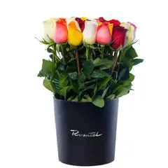 ROSATEL - Sombrerera Grande con 25 Rosas Variadas
