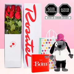 ROSATEL - Caja 6 Rosas Peluche y Chocolates