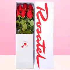 ROSATEL - Caja con 6 Rosas