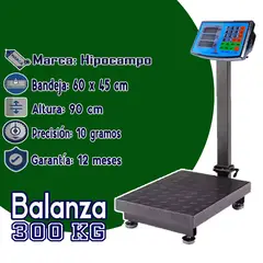 GENERICO - Balanza Industrial 300 Kg con Plataforma HP-300KG Hipocampo