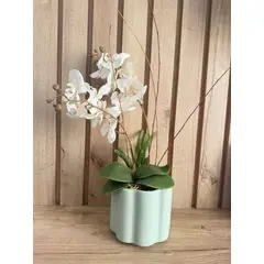 MAP DESIGN HOME - Arreglo Floral Orquidea Blanca Cloud Artificial 35x50 cm