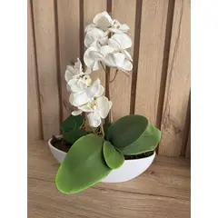 MAP DESIGN HOME - Arreglo Floral Orquidea Blanca Navi Artificial 30x43 cm