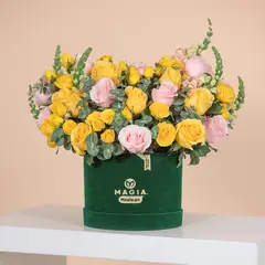 MAGIA PE - Velvet Garden Rosas Premium Magiape