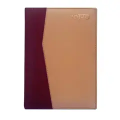 GENERICO - AGENDAS EJECUTIVAS DIARIAS