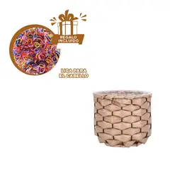 GENERICO - Organizador Entretejido para Casa 15x13cm Y+Ligas de Regalo