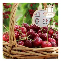 RYBIU IMPORT - Pack6 Canastilla Resistente de 24x24x25cm Y+Regalo Stickers