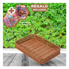 RYBIU IMPORT - Envase Bonito de Almacenamiento 34x24x4cm Y+Ligas de Regalo