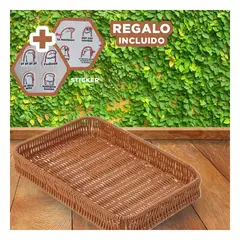 RYBIU IMPORT - Pack6 Envase Util de Verduras 34x24x4cm Y+Regalo Stickers