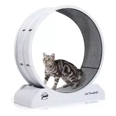 PELUDINES - Rueda De Ejercicios Para Gatos Rueda Entrenamiento Xl 80cm