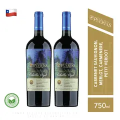 VIÑEDOS PUERTAS - Vino Caballo Azul Reserva Especial - Pack x2