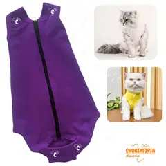 GENERICO - FAJA POST OPERATORIA MASCOTA-PERRA-GATA TALLA M-PURPURA