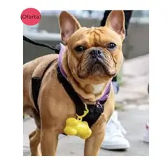 GENERICO - BOLSA PARA RESIDUOS DE MASCOTAS + DISPENSADOR ROSADO