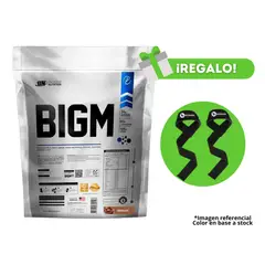 UNIVERSE NUTRITION - BIGM 5KG PROTEÍNA PARA GANAR MASA MUSCULAR CHOCOLATE UN + REGALO