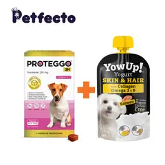 PROTEGGO - ANTIPULGAS PARA PERROS - 3M (>4,5 – 10 kg.) +1 YOGURT
