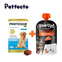 PROTEGGO - 3M (>20 – 40 kg.) ANTIPULGAS PARA PERROS +1 YOGURT