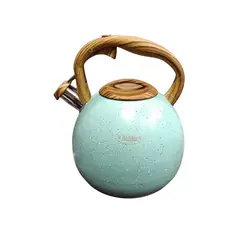 VALESKA - Tetera 5 L con recubrimiento de roca volcánica verde marca