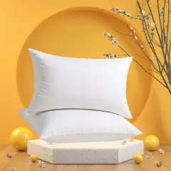 GENERICO - Pack x 02 Almohadas Clásicas talla Queen 75x50