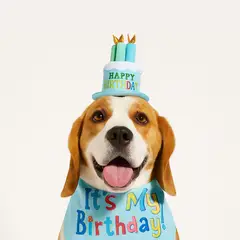 CAT OH - Gorro cumpleaños - Azul