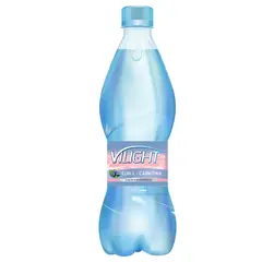 VILIGHT - ARANDANOS CON LCARNITINA X 500 ML