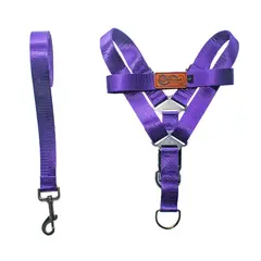 EL MONOPET - Arnes brilloso para perro elmonopet talla L