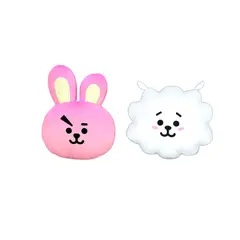 GENERICO - Pack 2 Almohada Cojín Bts Bt21 Cooky RJ