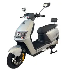 GREENLINE - Moto Eléctrica Modelo Y5 PLATEADO