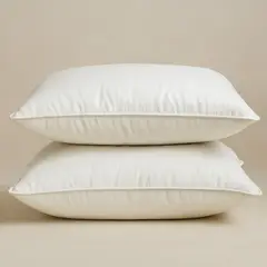 GENERICO - Set de 2 Almohadas de Plumas 50X70cm