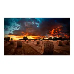 SAMSUNG - PANTALLA DE VIDEO DE PARED VMB-U DE 55PULG PN LH55VMBUBGBXGO