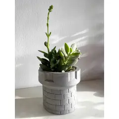 GENERICO - Maceta Castillo Gris + Suculentas