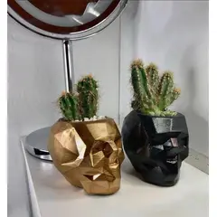 GENERICO - Dúo de macetas cráneo + suculentas