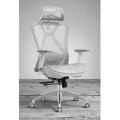 GENERICO - SILLA ERGONOMICA KAORI PRO ULTRA GRIS