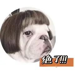 GENERICO - Peluca cabello corto para perros y gatos