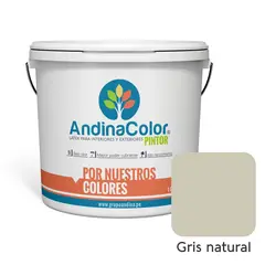 ANDINACOLOR - PINTURA PINTOR GRIS NATURAL LATEX 1 GALON